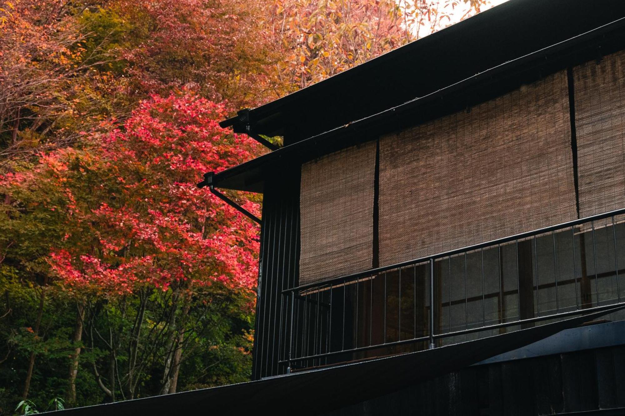 Mysa Hakone Villa Dış mekan fotoğraf